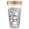 100 Pk 16 oz Clear Plastic Cups | Gold Rimmed Disposable Cups